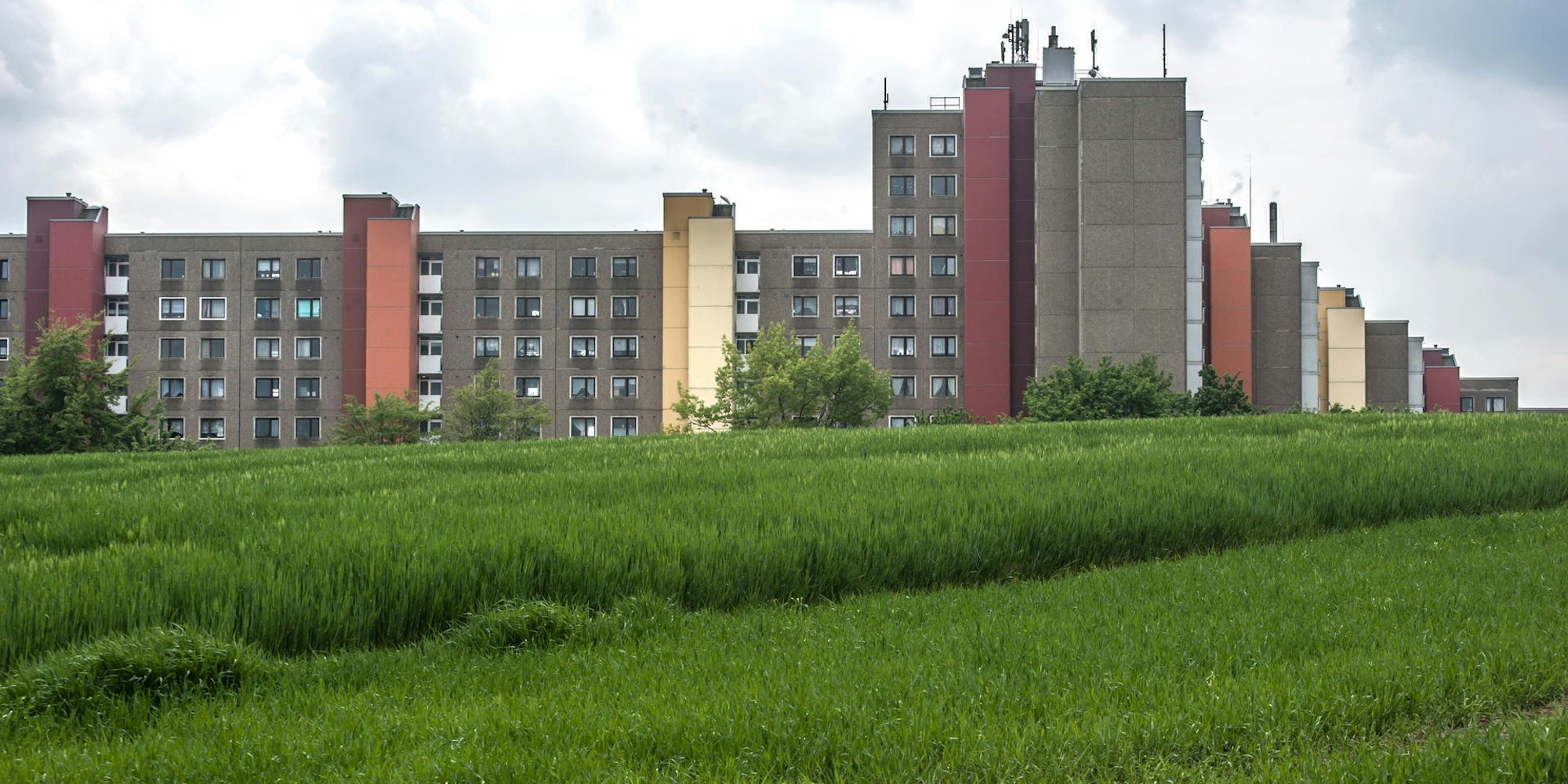 leverkusen-DERR-SIEDLUNG-alf_7461