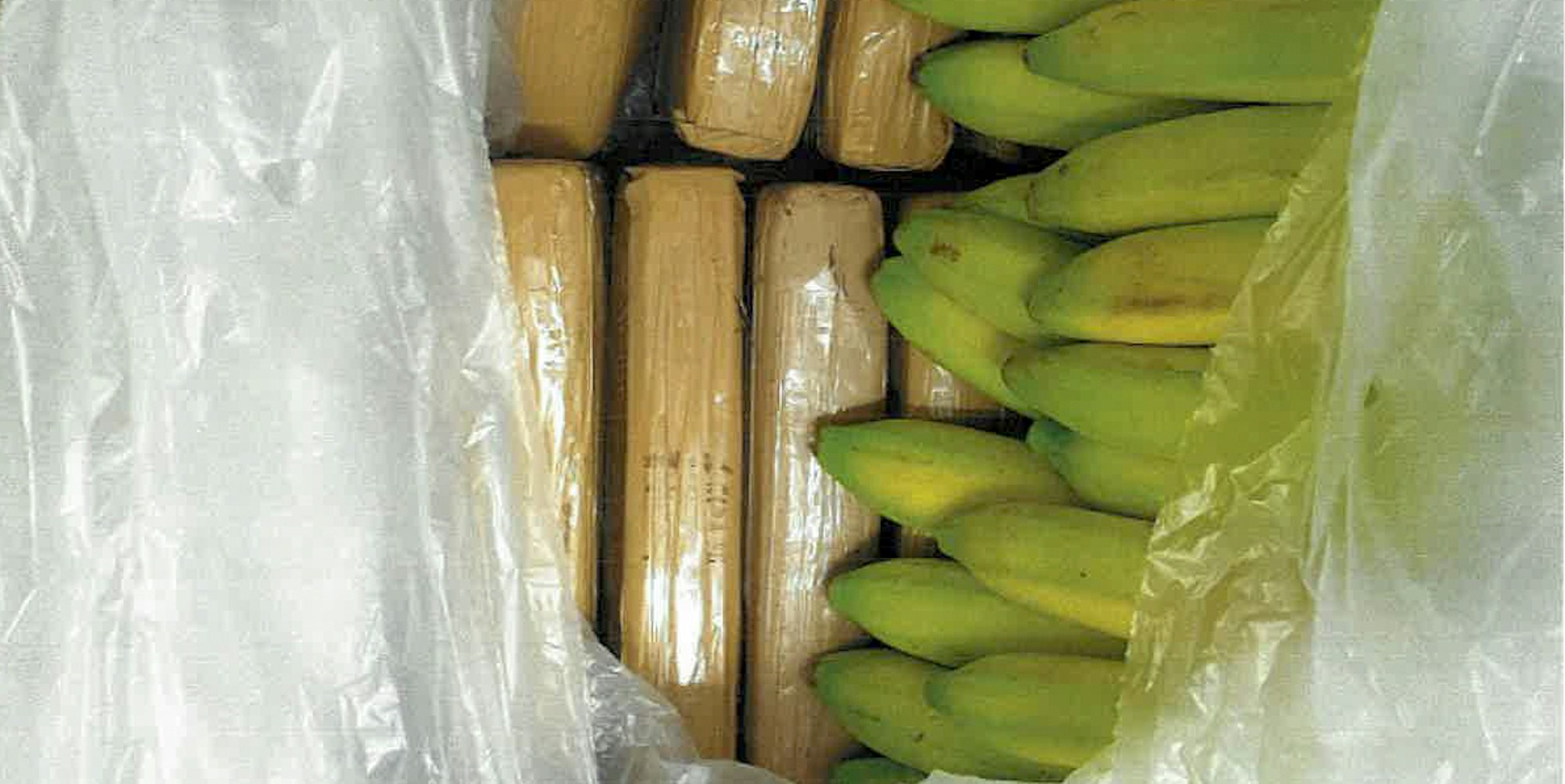 Drogen_in_Bananenkisten