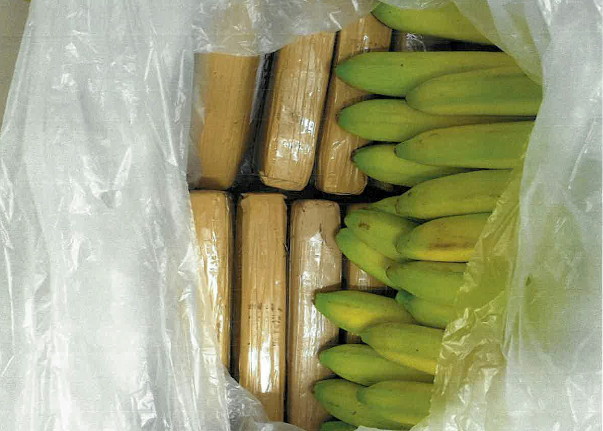 Drogen_in_Bananenkisten