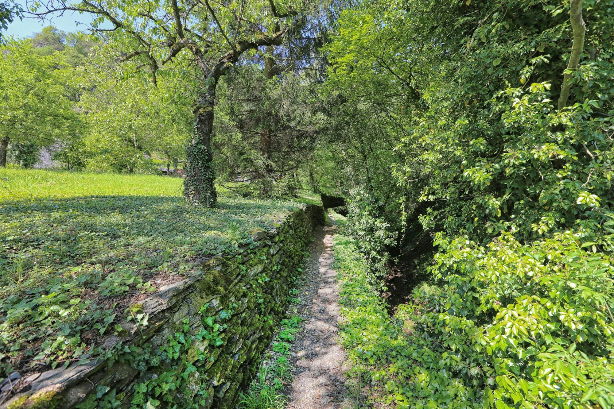 LP BuGa Bild 6 Jens Weber