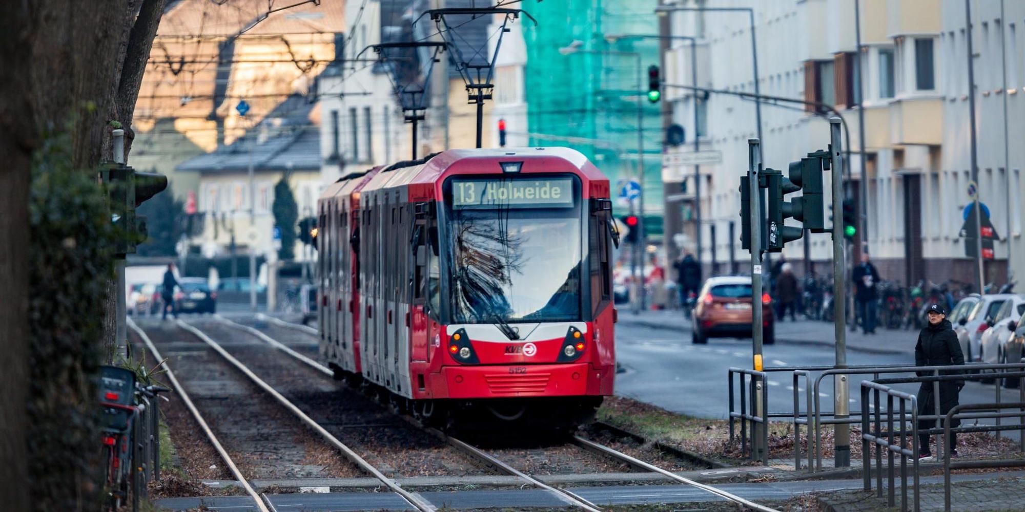 Neuer Inhalt (3)