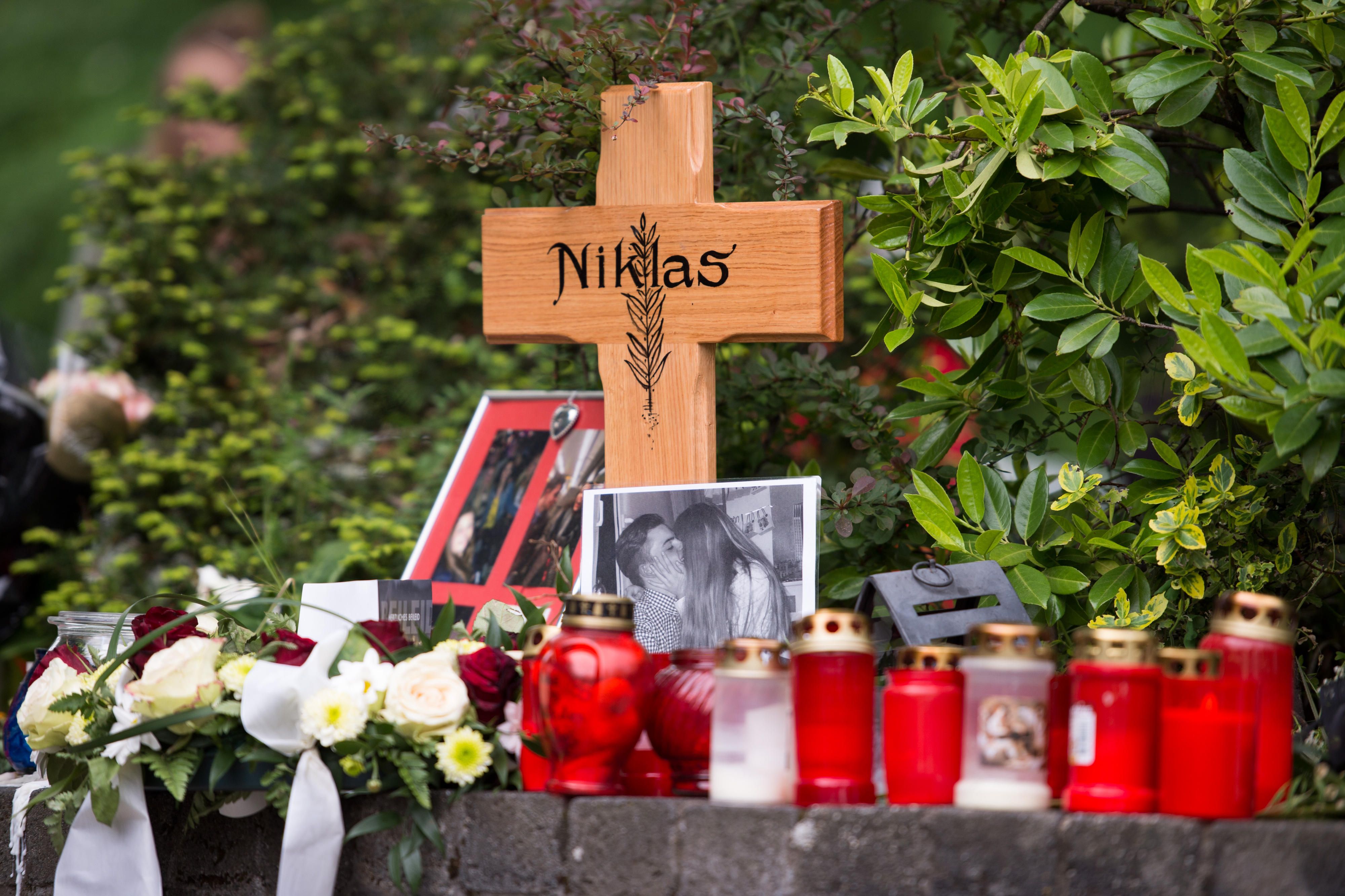 Niklas (3)