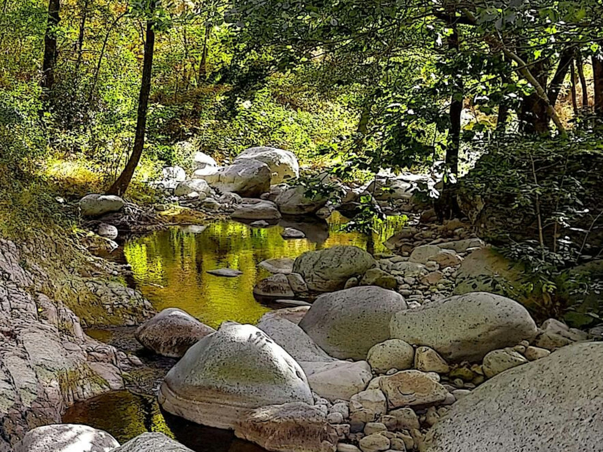 tier0_2018_05_12_MDS-KSTA-2018-05-12-71-131452867