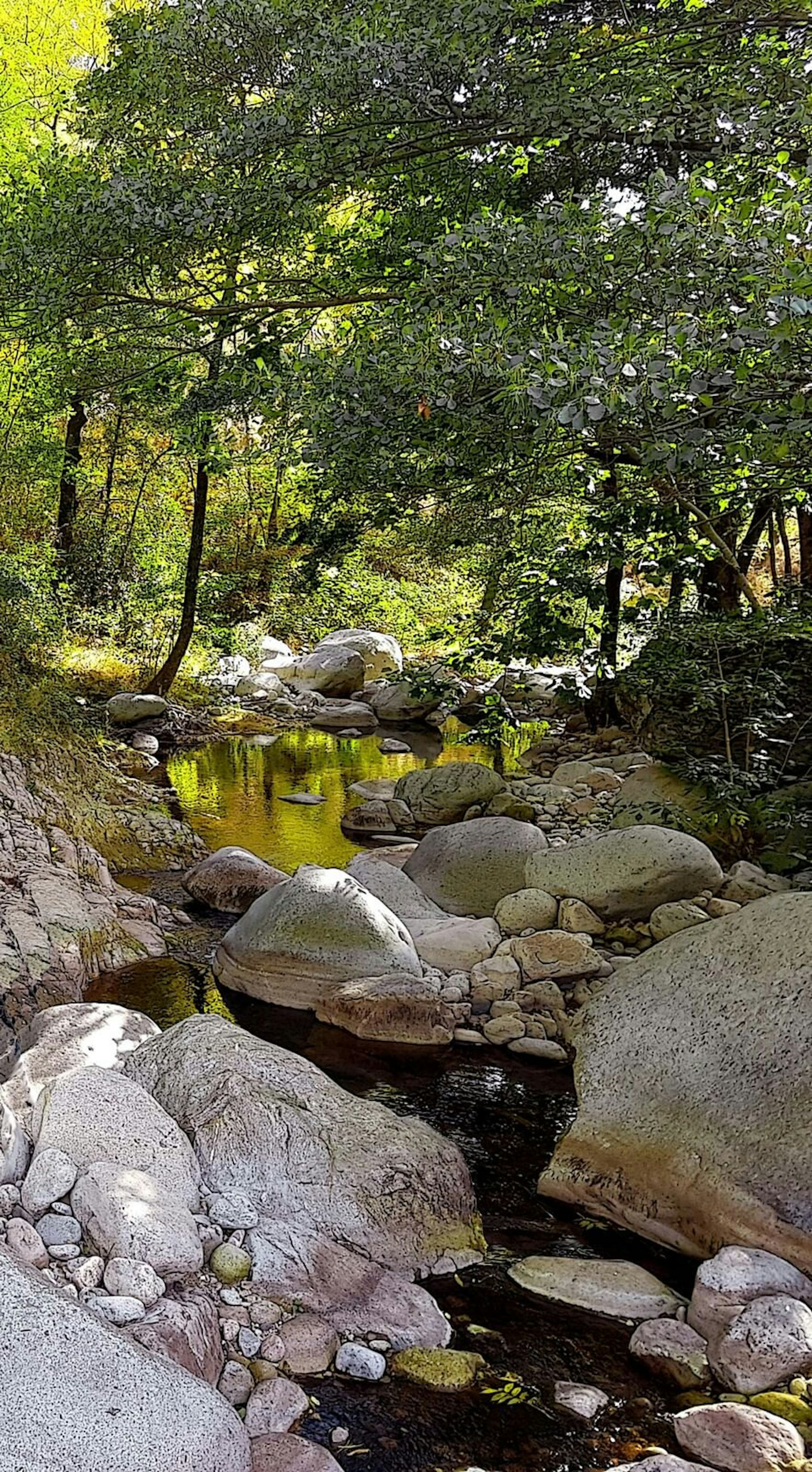 tier0_2018_05_12_MDS-KSTA-2018-05-12-71-131452867