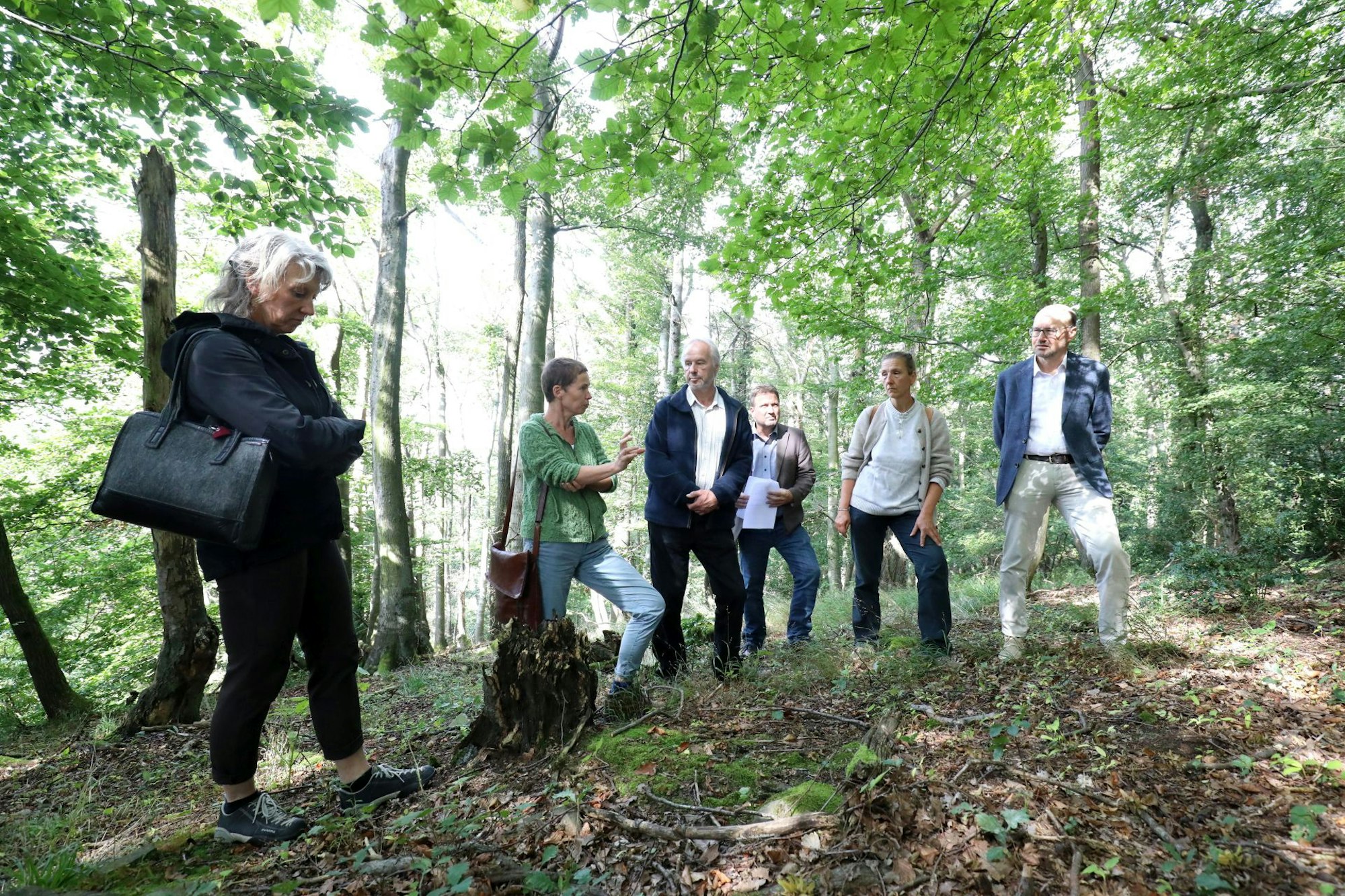 vorstellung_forschungsprojekt_ramholz_petersberg_1
