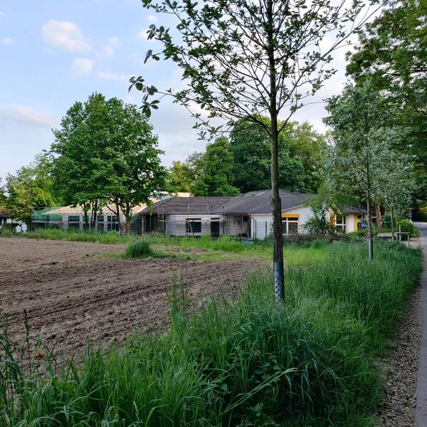 Eicherhofsfeld