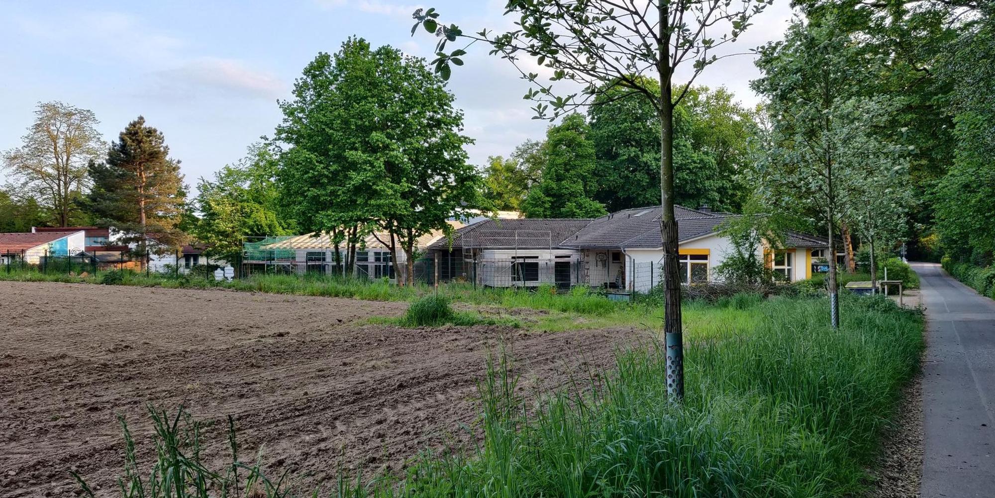 Eicherhofsfeld