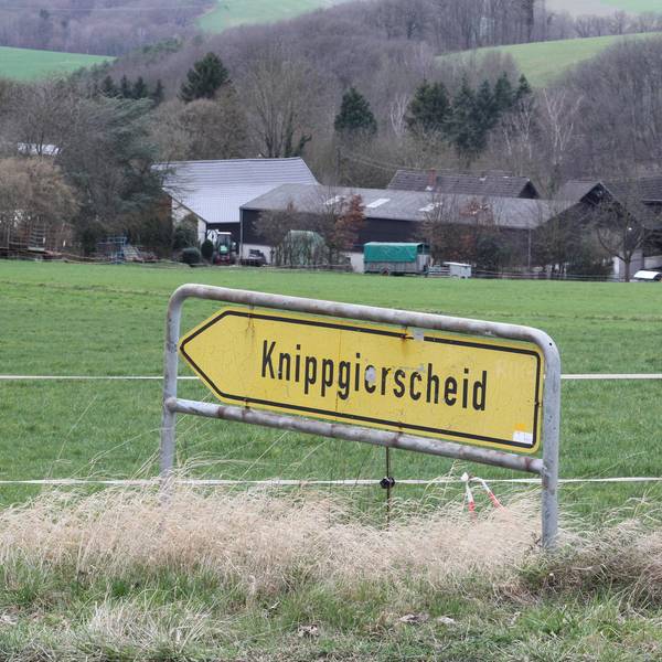 Neuer Inhalt