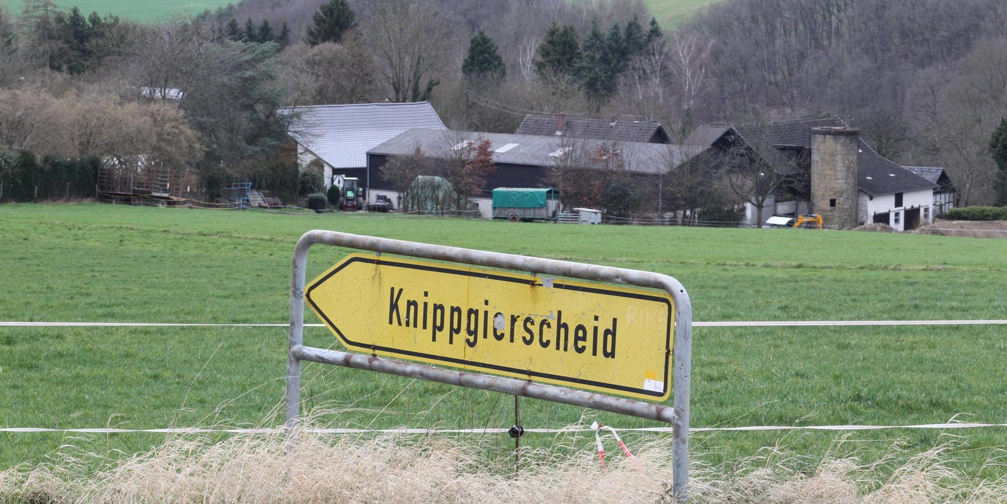 Neuer Inhalt