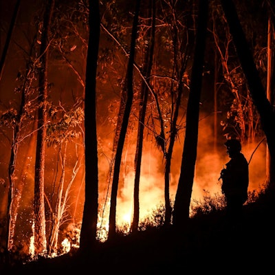 Portugal Waldbrände 110722