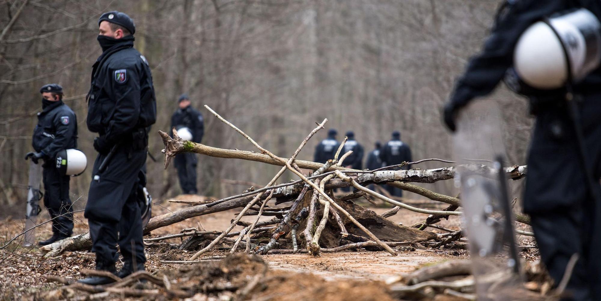 Hambacher dpa neu