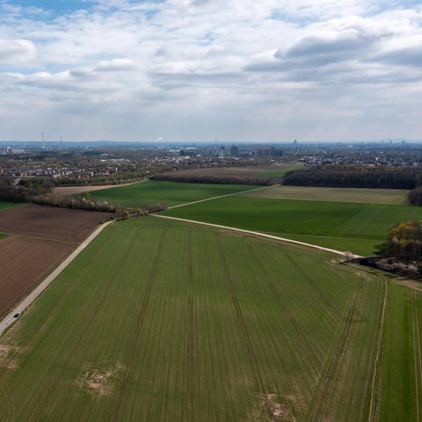 kreuzfeld1