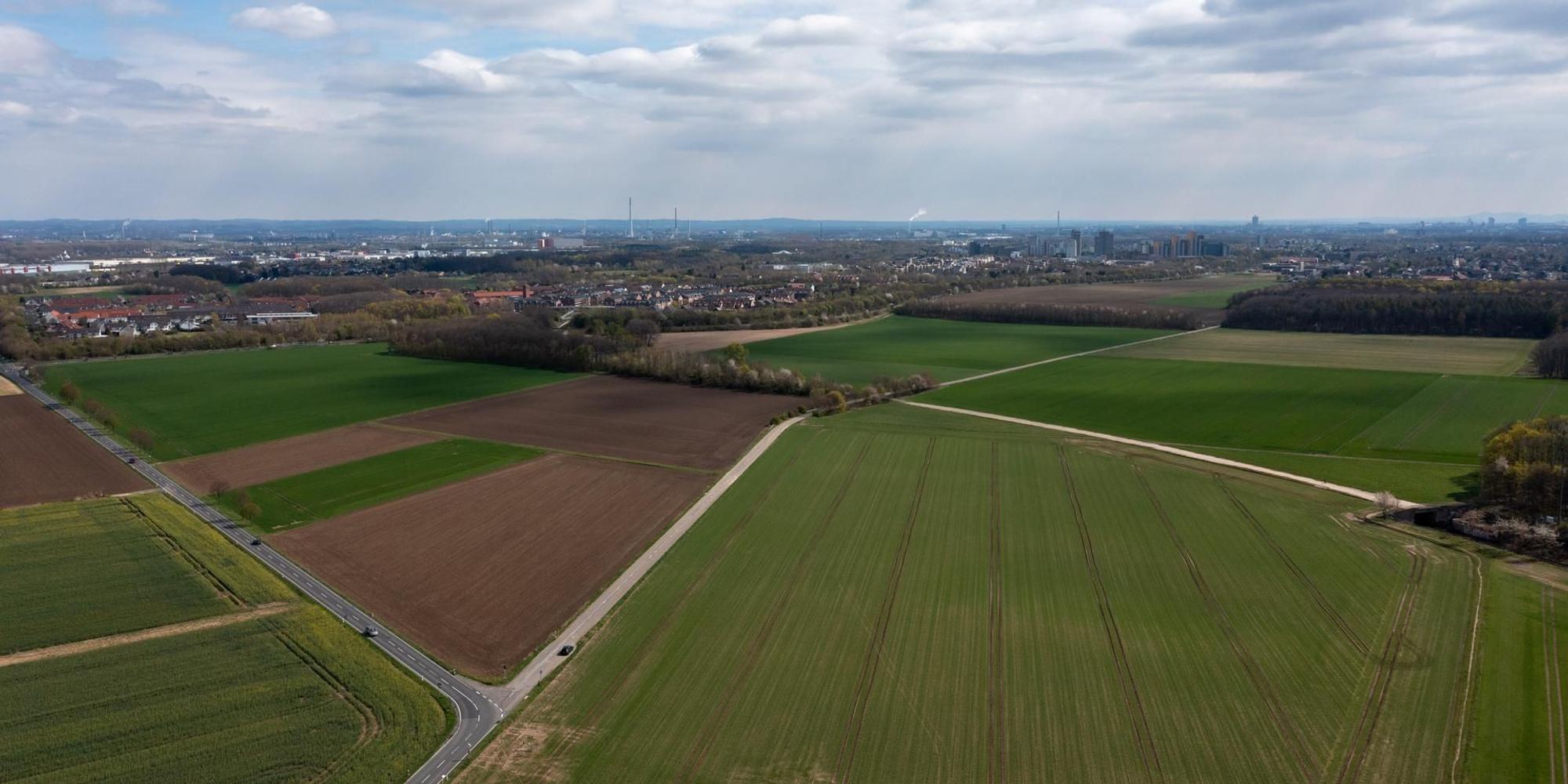 kreuzfeld1