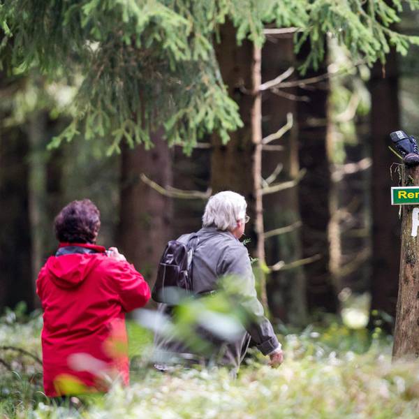 Wandern Symbol Wald dpa