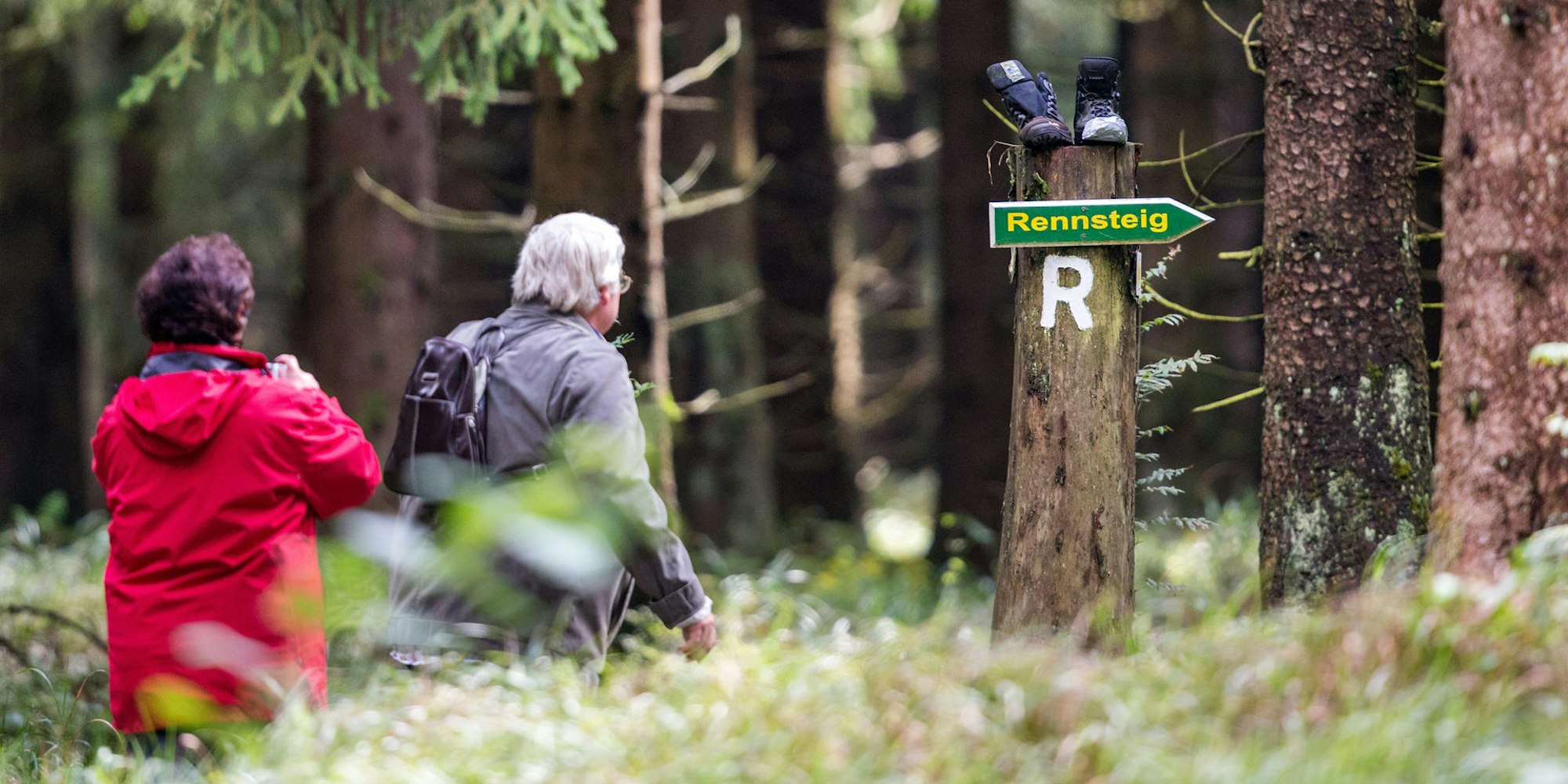 Wandern Symbol Wald dpa