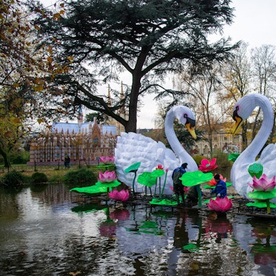 191122_uw_Zoolicht_016