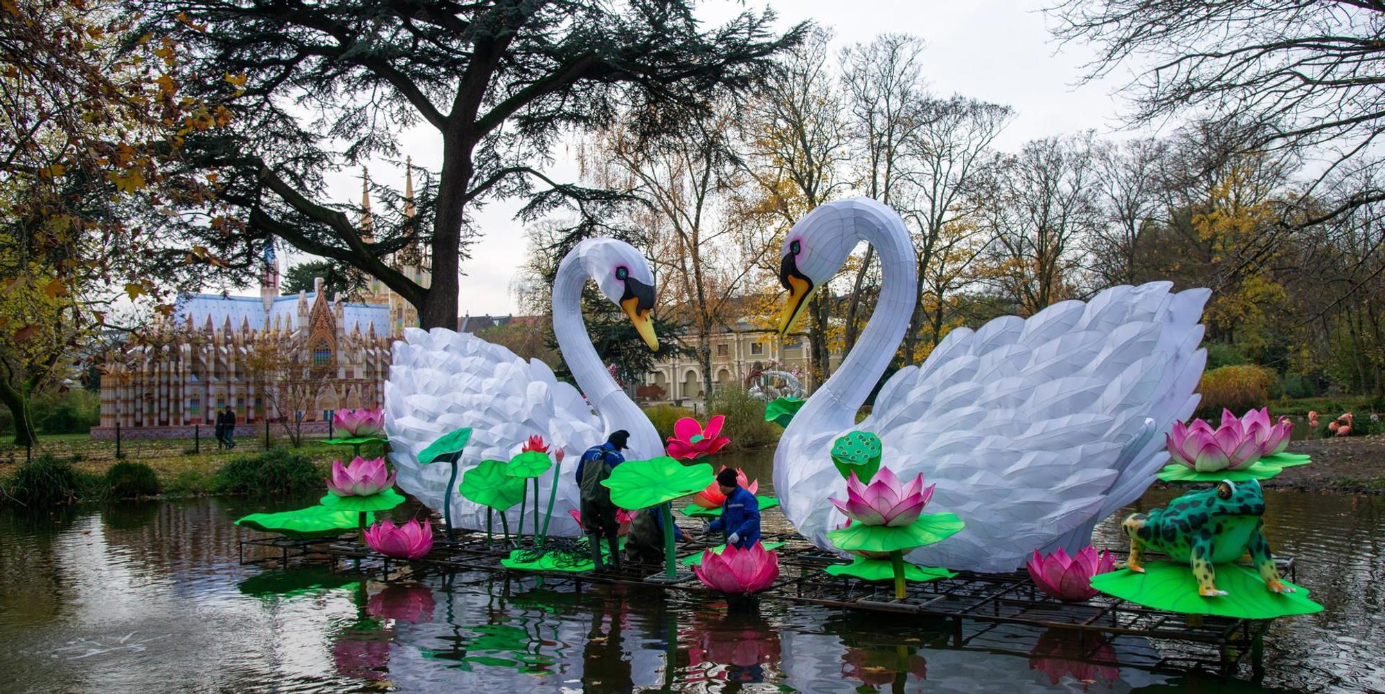 191122_uw_Zoolicht_016