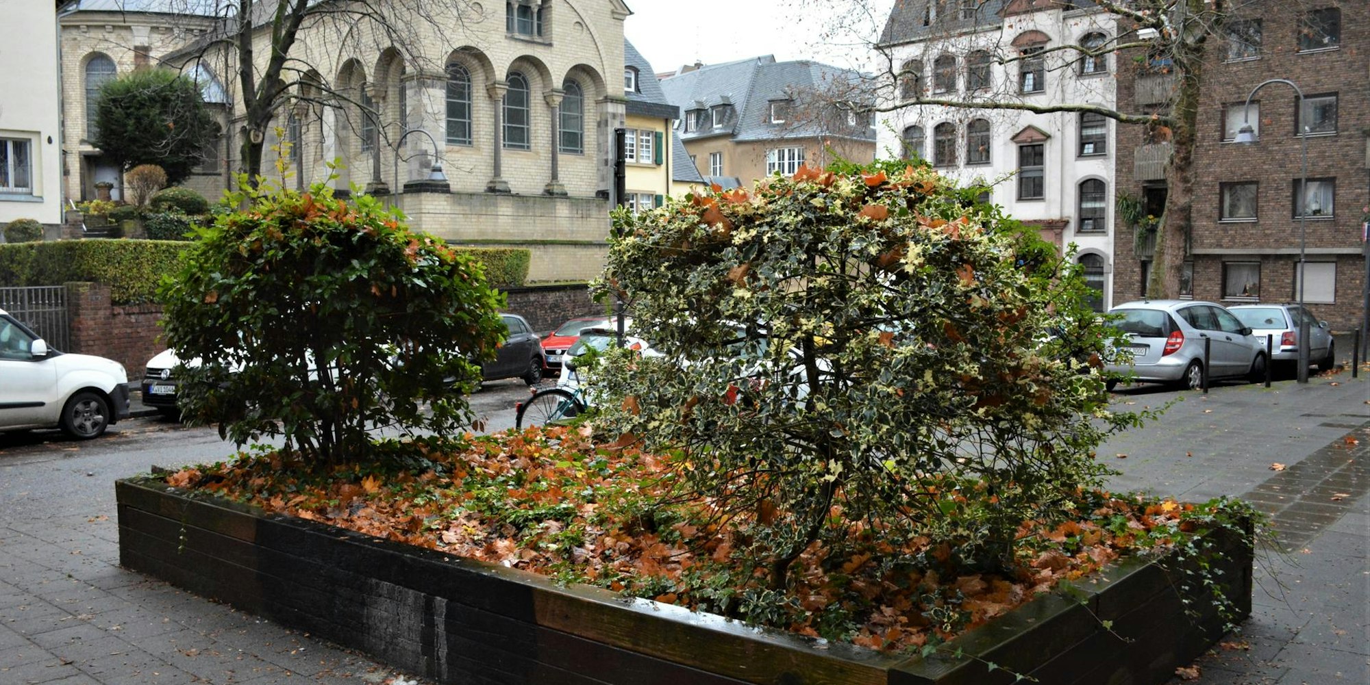 DSC_0633