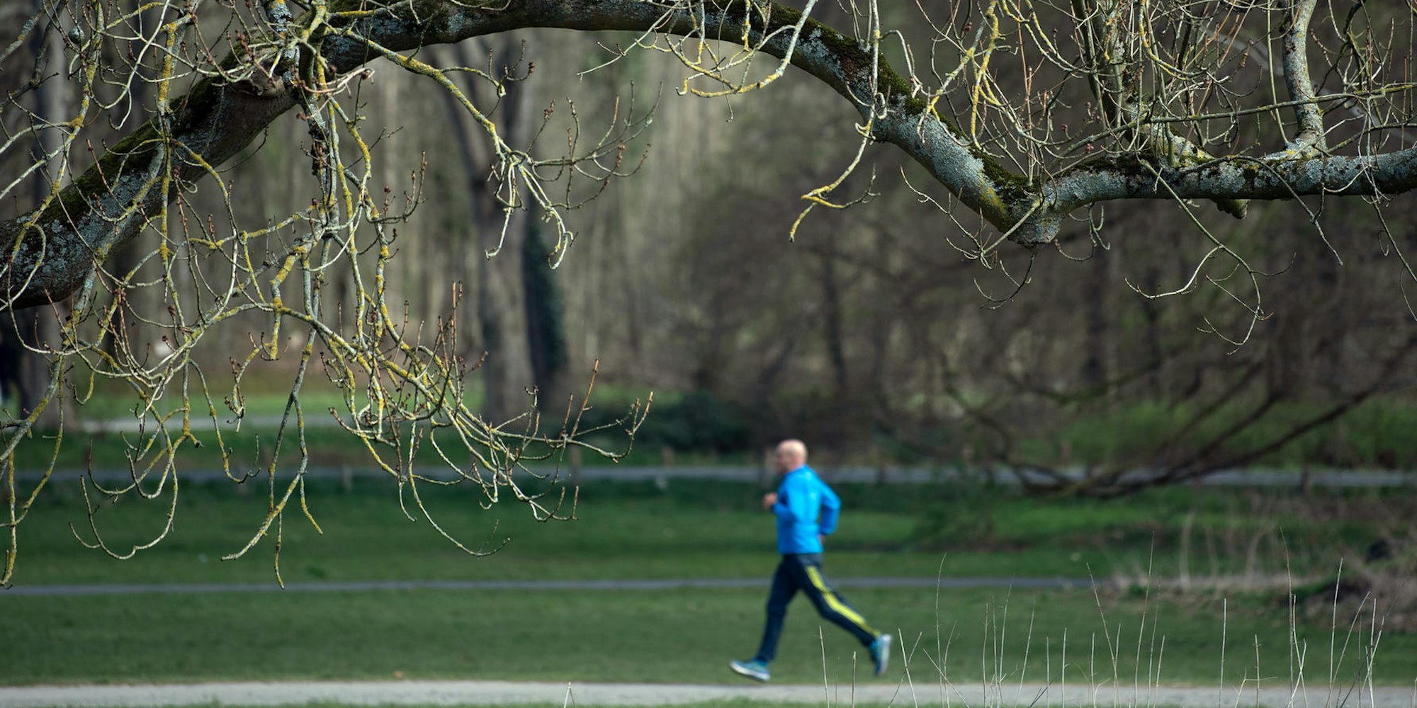 joggen köln park
