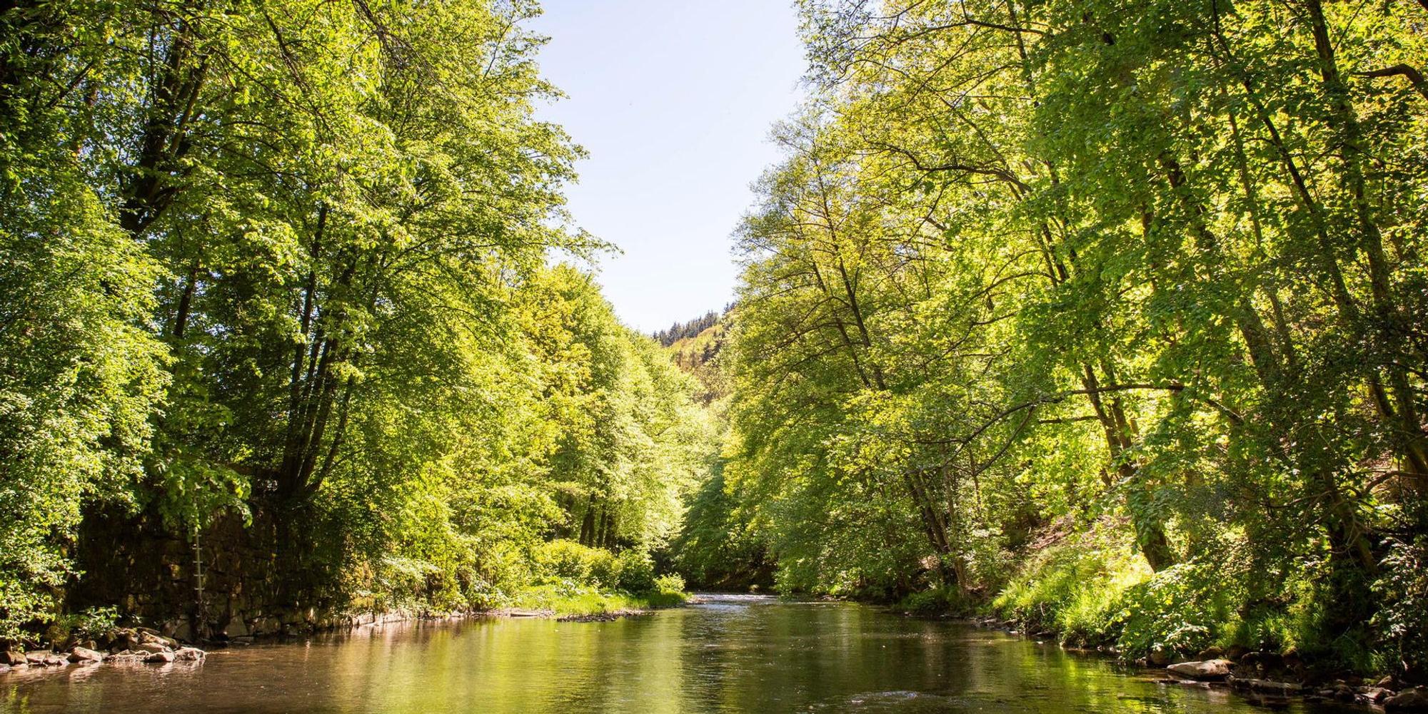 20190515-Schmuckfoto-Agger-003