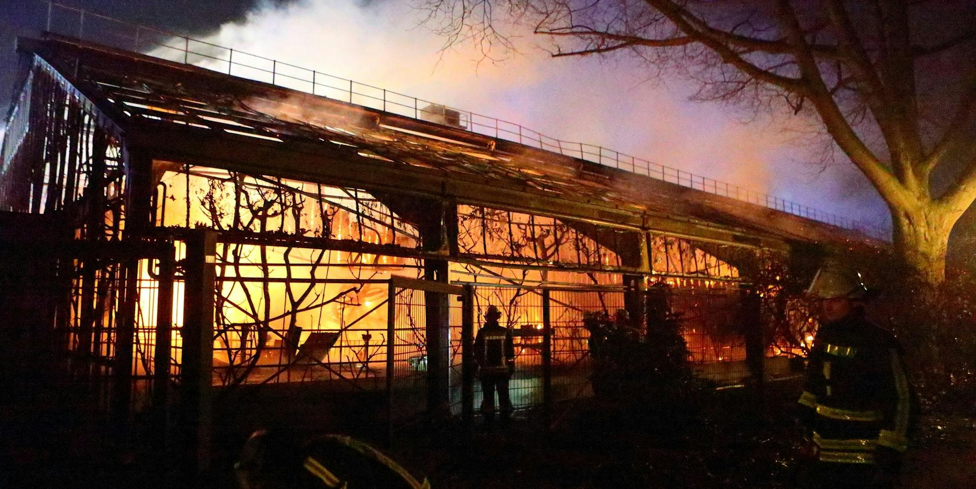Zoo Krefeld - Affenhaus DPA 030120