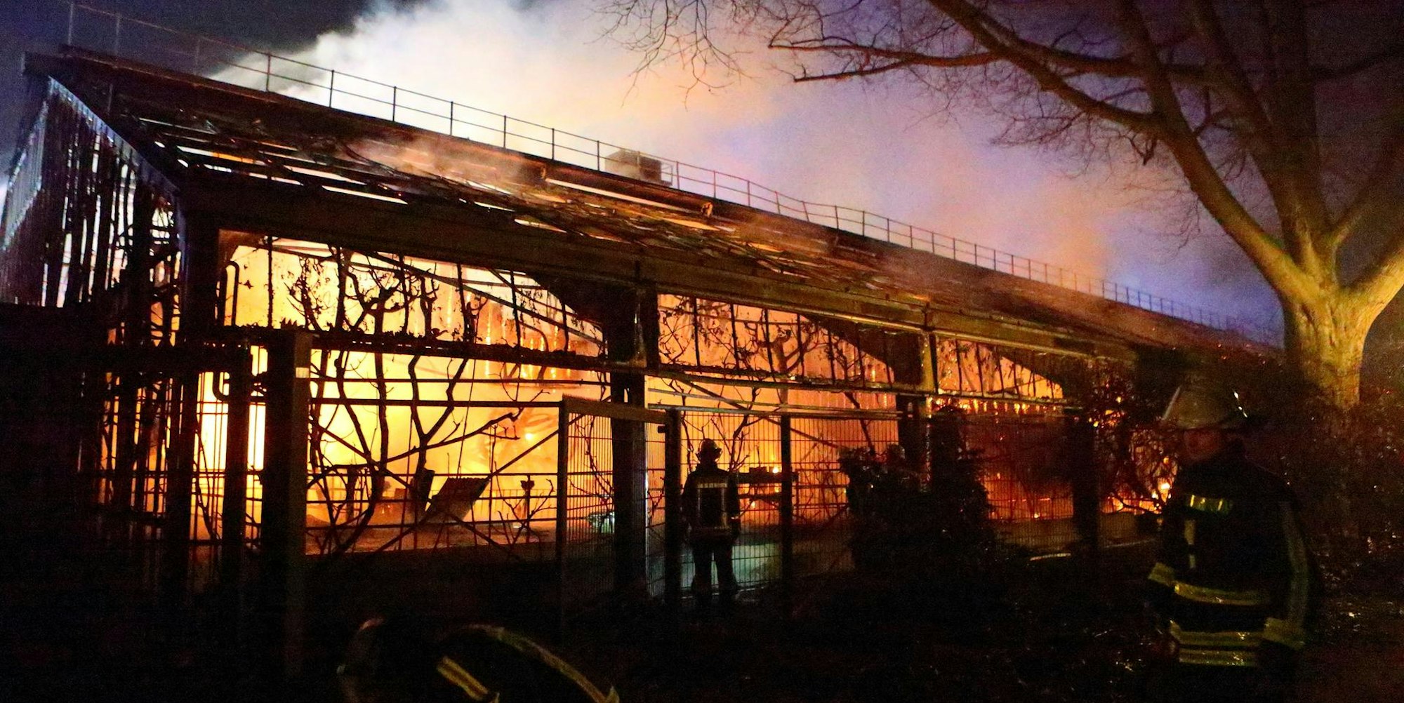 Zoo Krefeld - Affenhaus DPA 030120