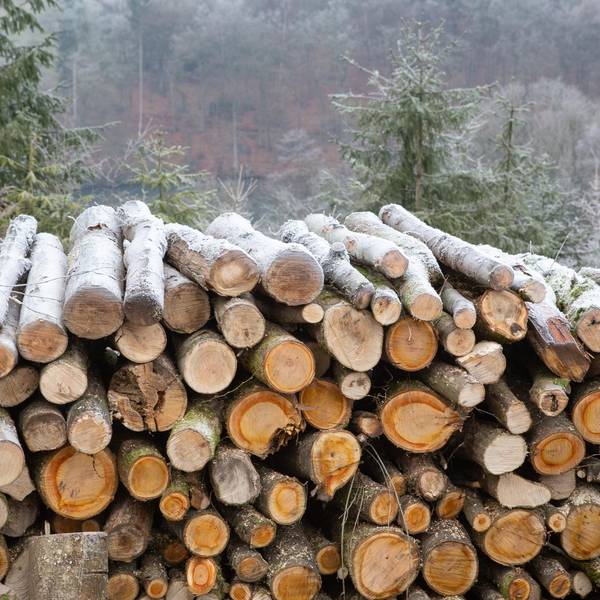 Schmuckfoto-Winter Oberberg