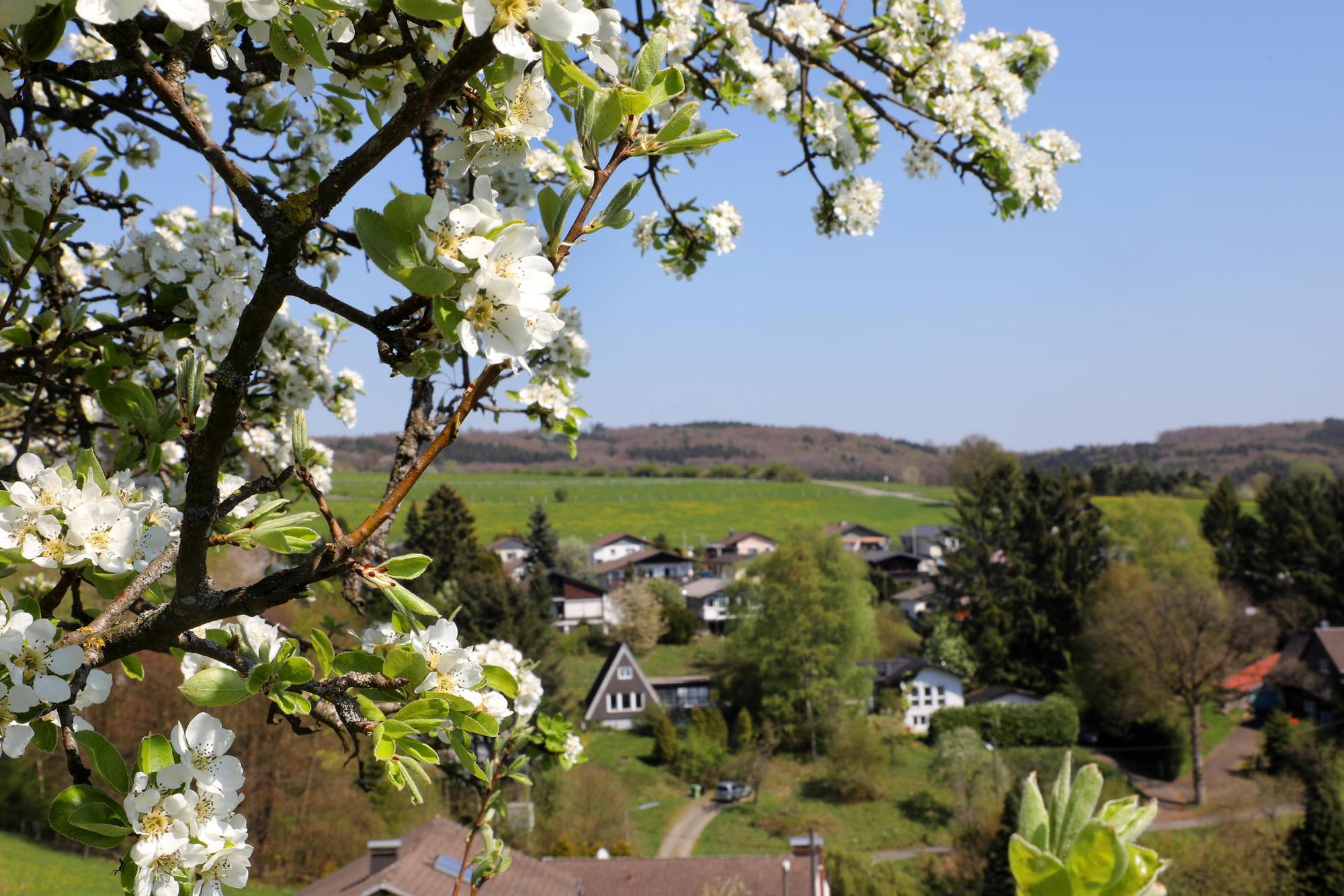Waldmythenweg_Waldbroel_8425_Frühling