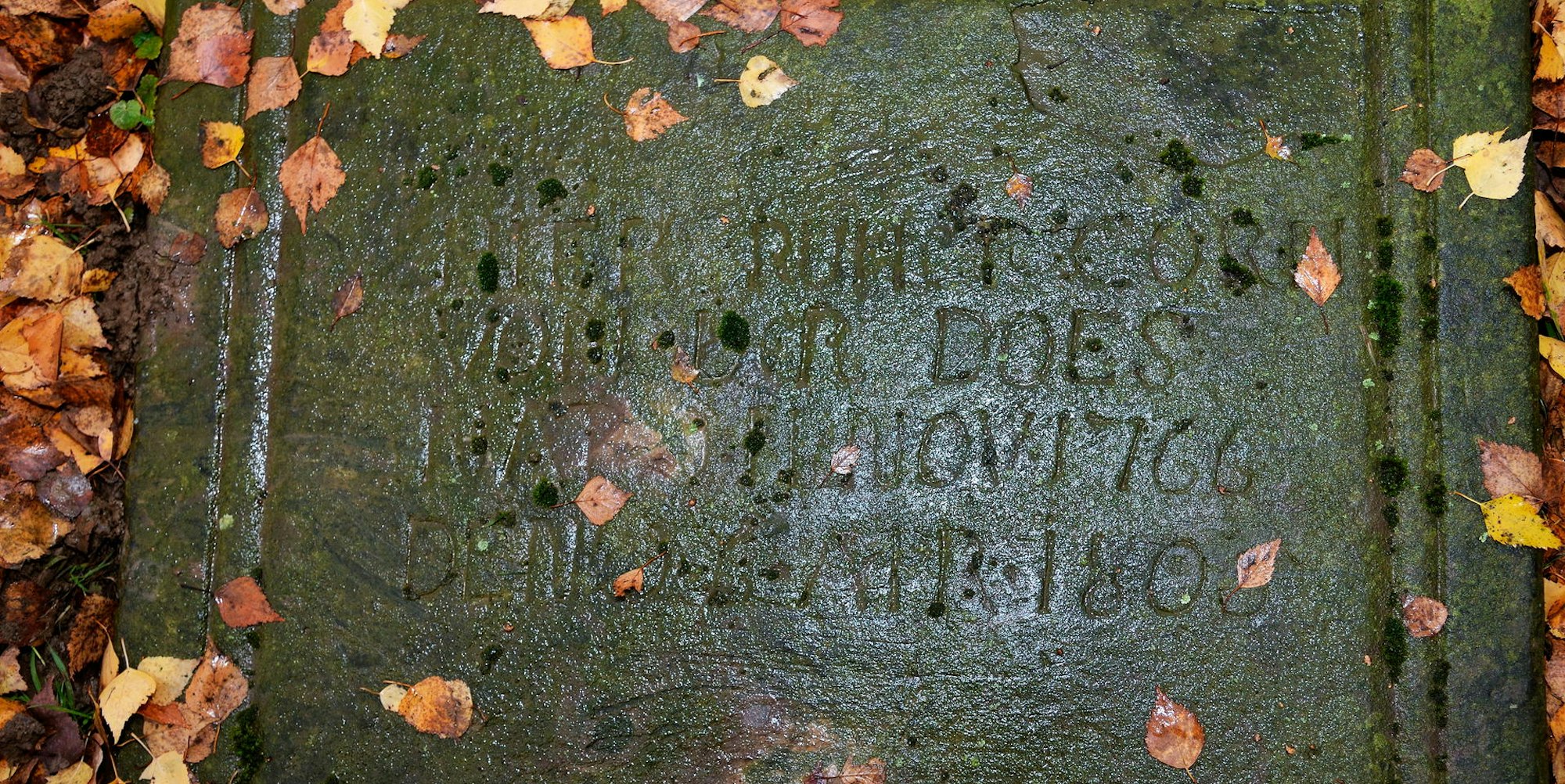 Grabstein_van_der_Does