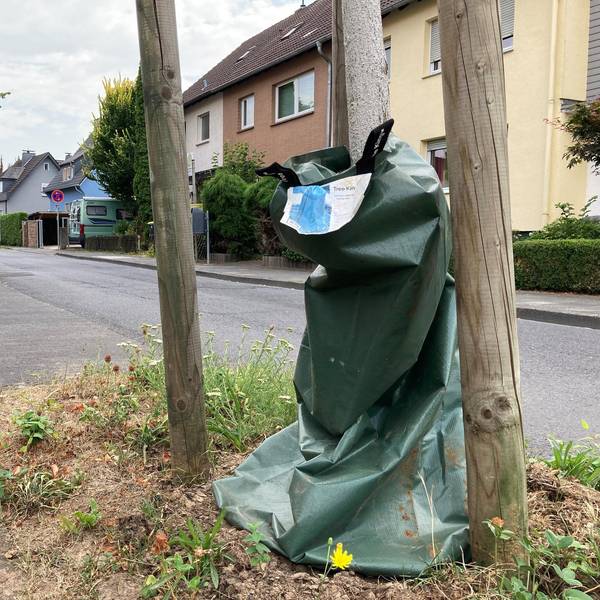 Neuer Inhalt