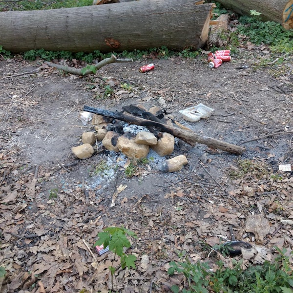 Lagerfeuer_Waldrand_Vilich