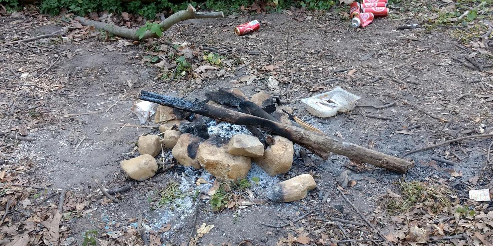 Lagerfeuer_Waldrand_Vilich