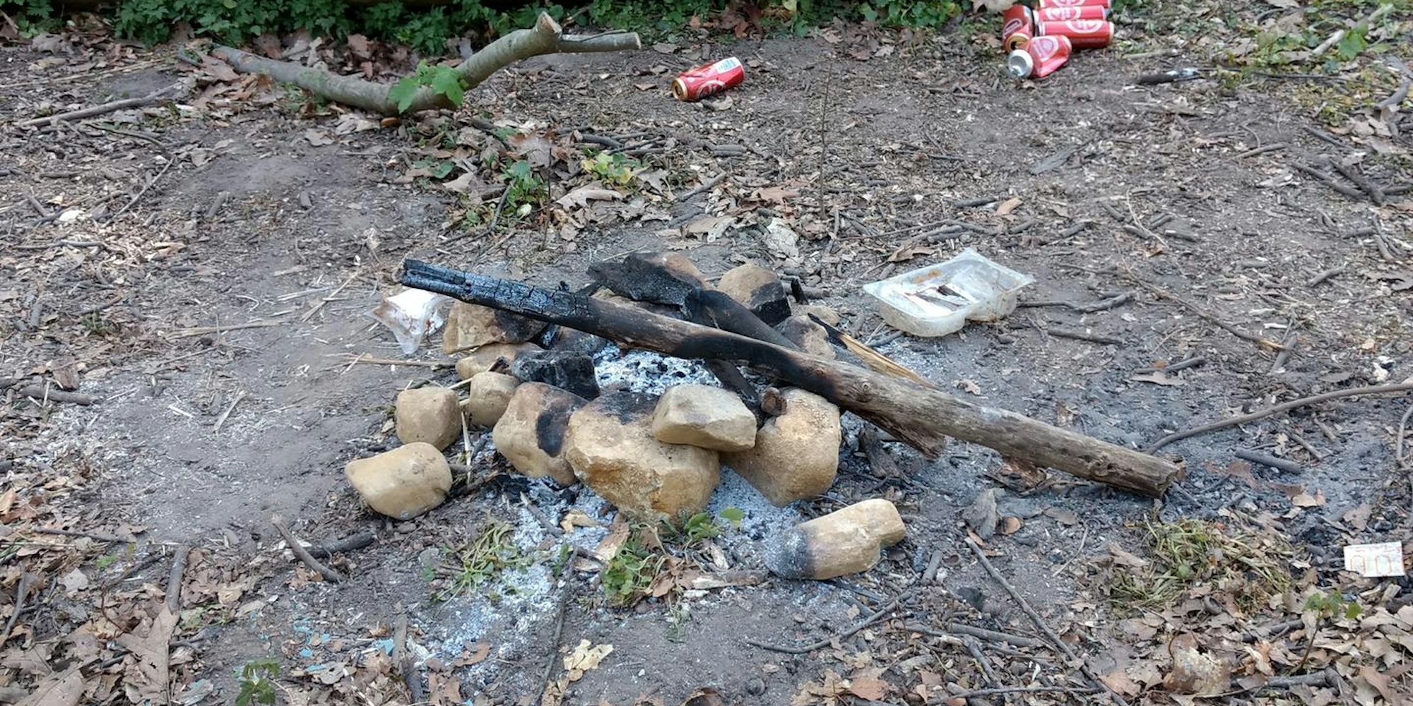 Lagerfeuer_Waldrand_Vilich