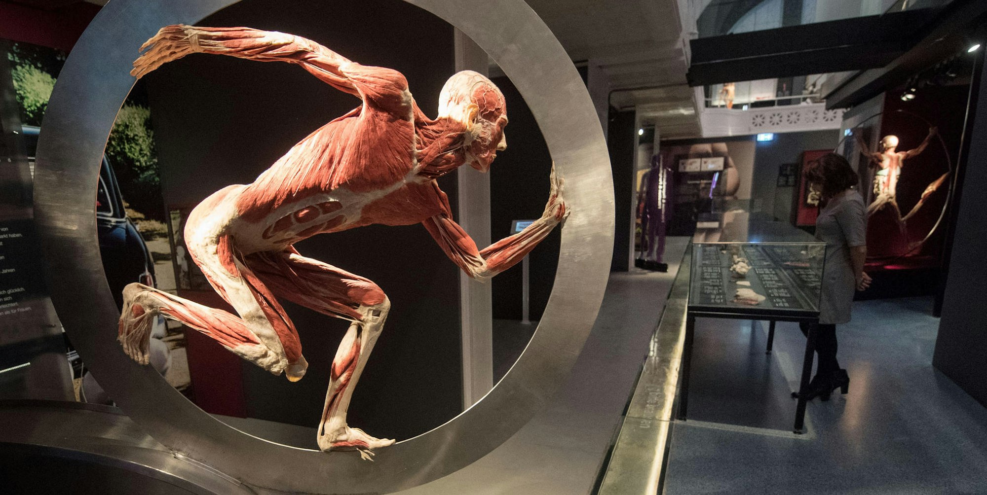 Koerperwelten_Museum_54850617