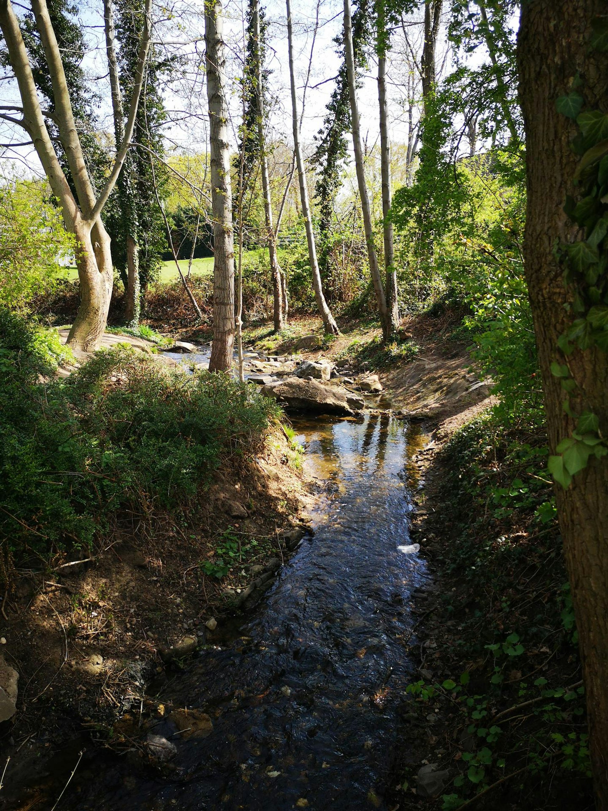 RätselwanderungWesseling6