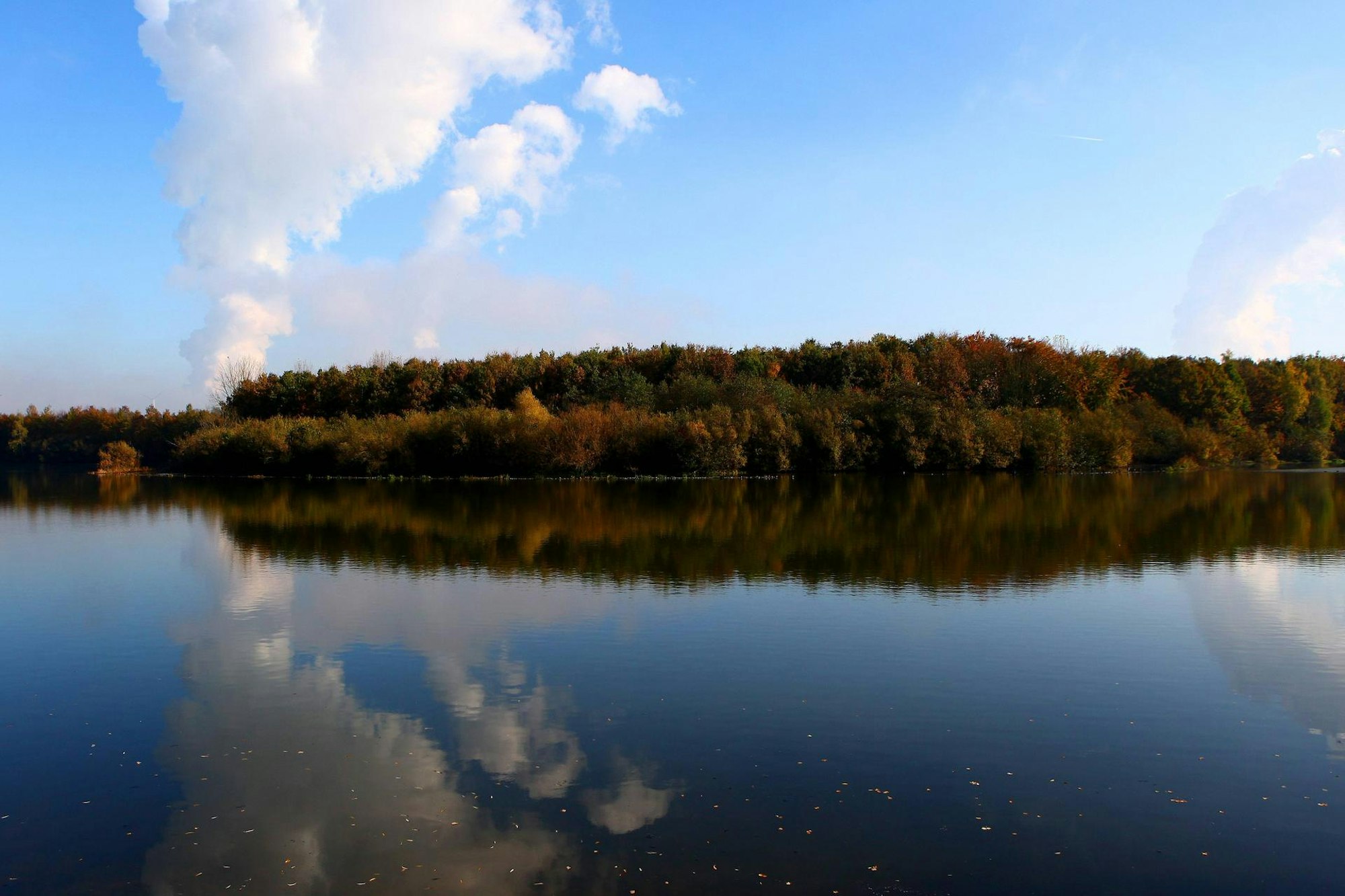 BedburgerSee_Kinderwanderung5