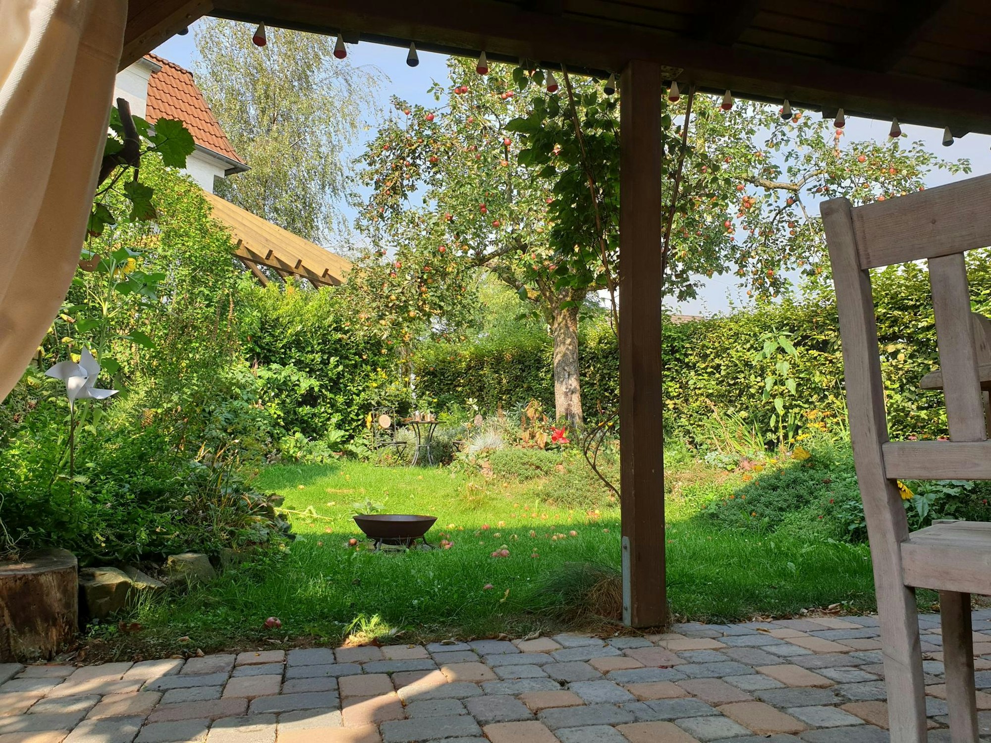 Zelt_Burscheid_Apfelbaum_quer_zeltzuhause