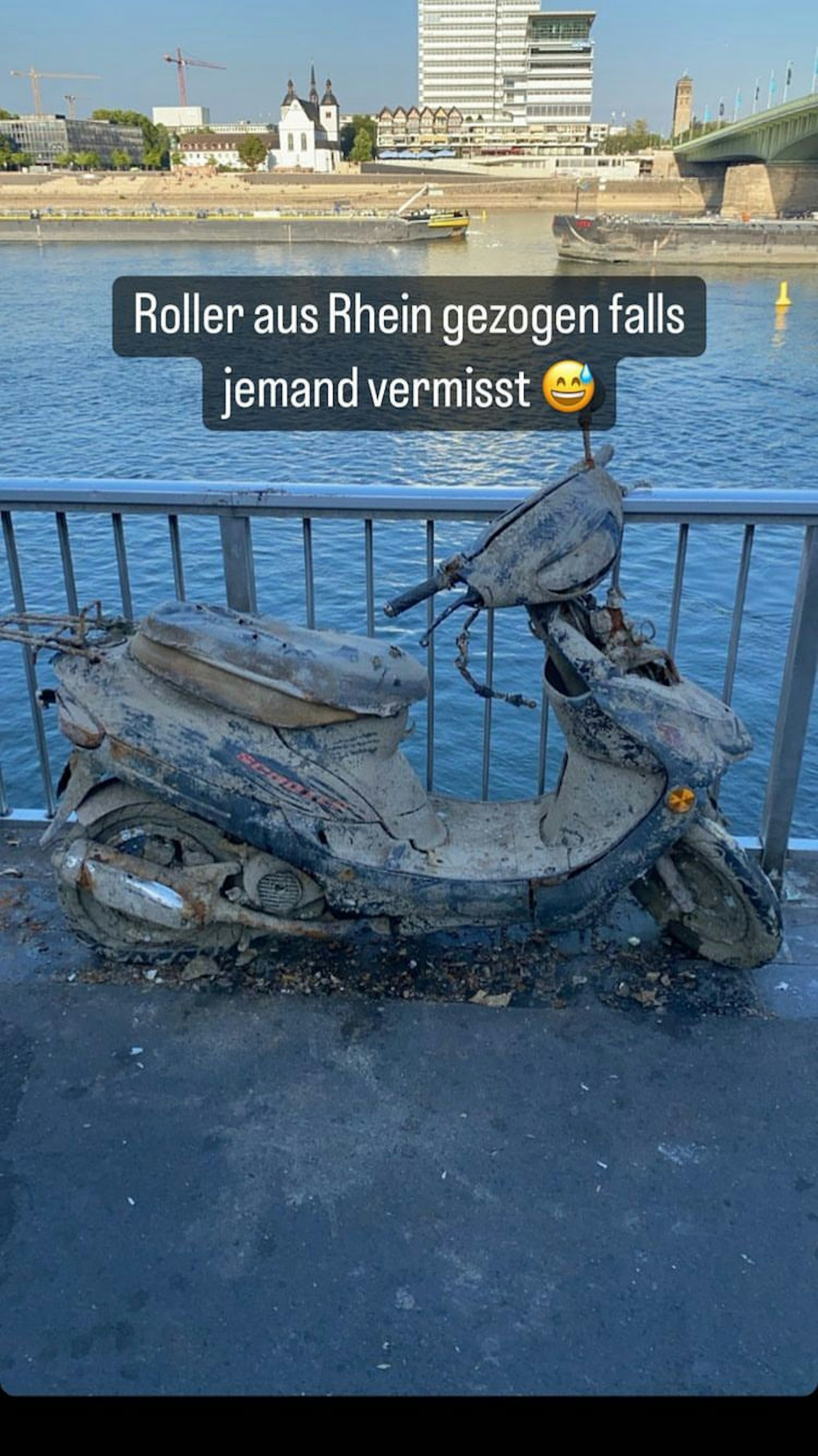 moped aus rhein