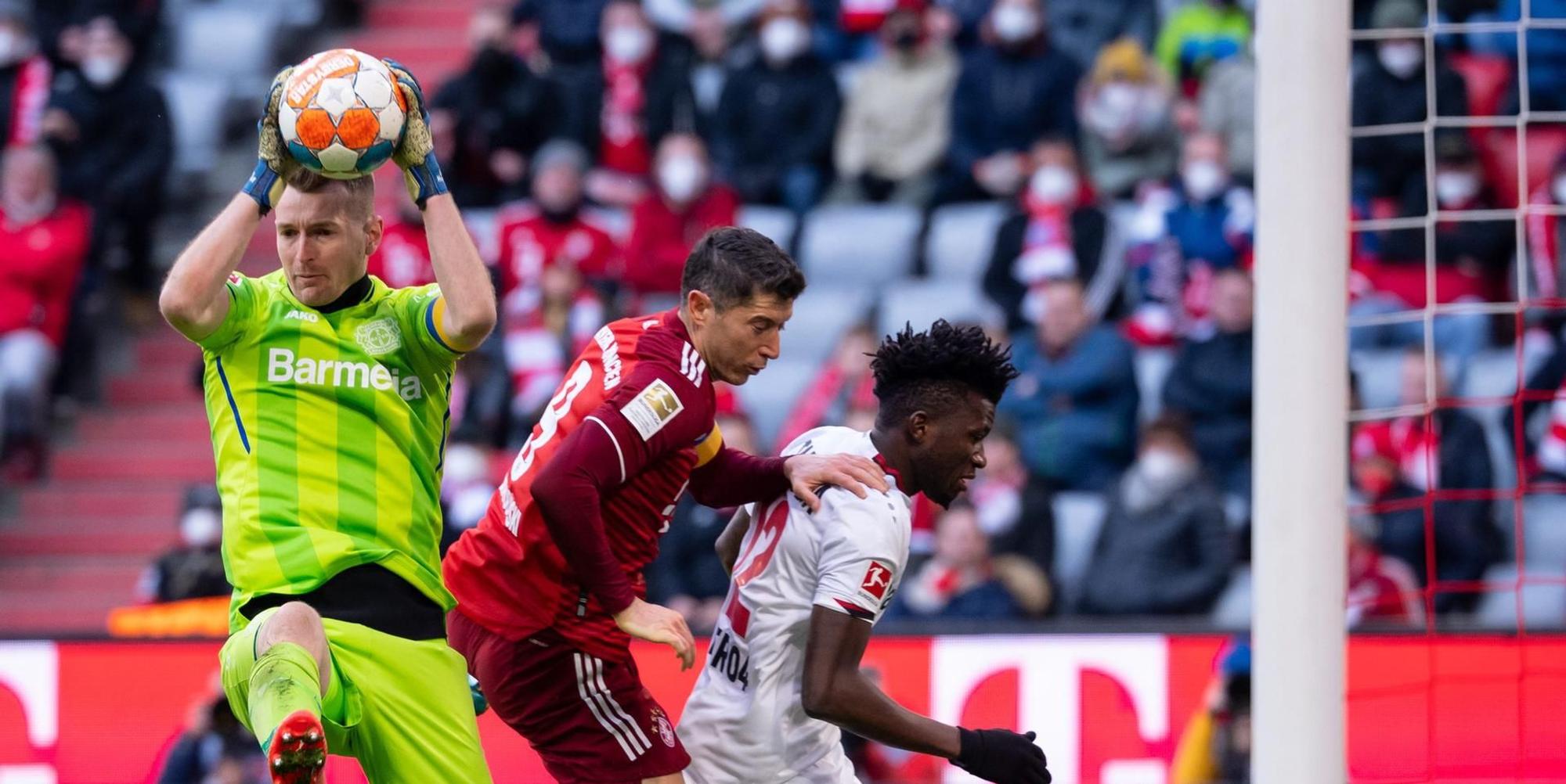 Neuer Inhalt