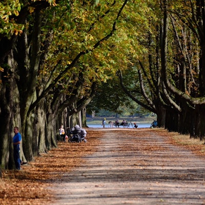 Decksteiner Weiher im Herbst Grönert