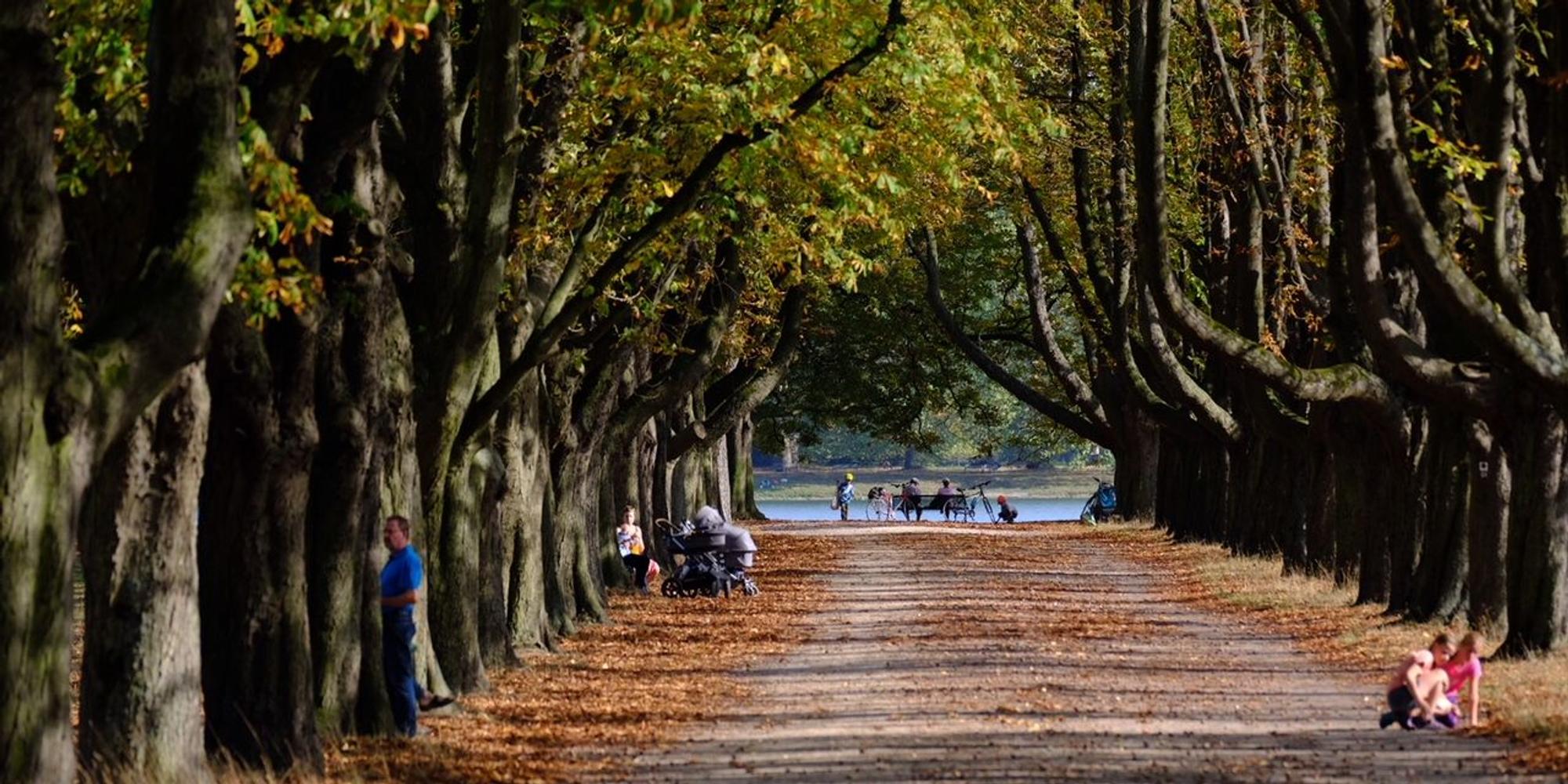 Decksteiner Weiher im Herbst Grönert