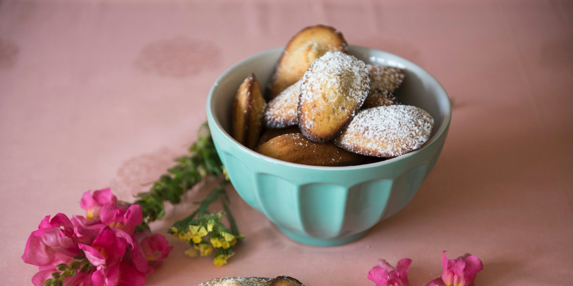 Bärentatzen sind klein, leicht und lecker für sommerliche Tage.