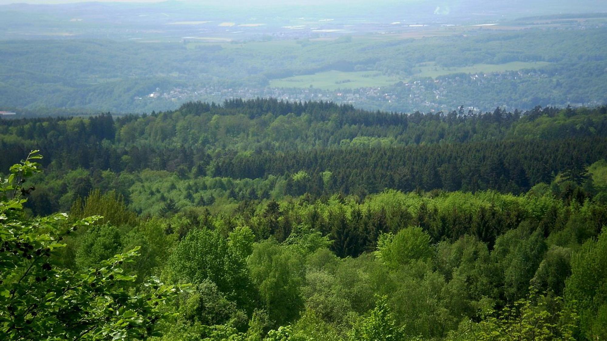 Blick in die grünen Täler vom Asberg in Richtung Oberwinter und Wachtberg.