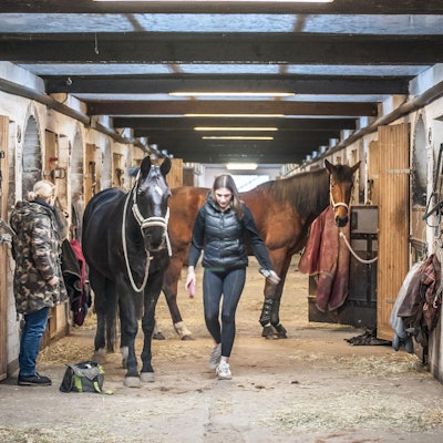 eigen-pferdehof-ALF_0735