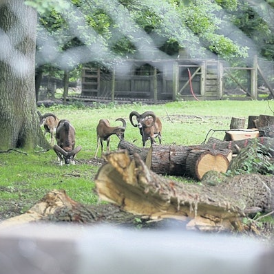 tier1_2018_07_03_KSTAB_MDS-KSTA-2018-07-03-71-134594332