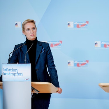 AfD Spitze Donbass Kritik 210922