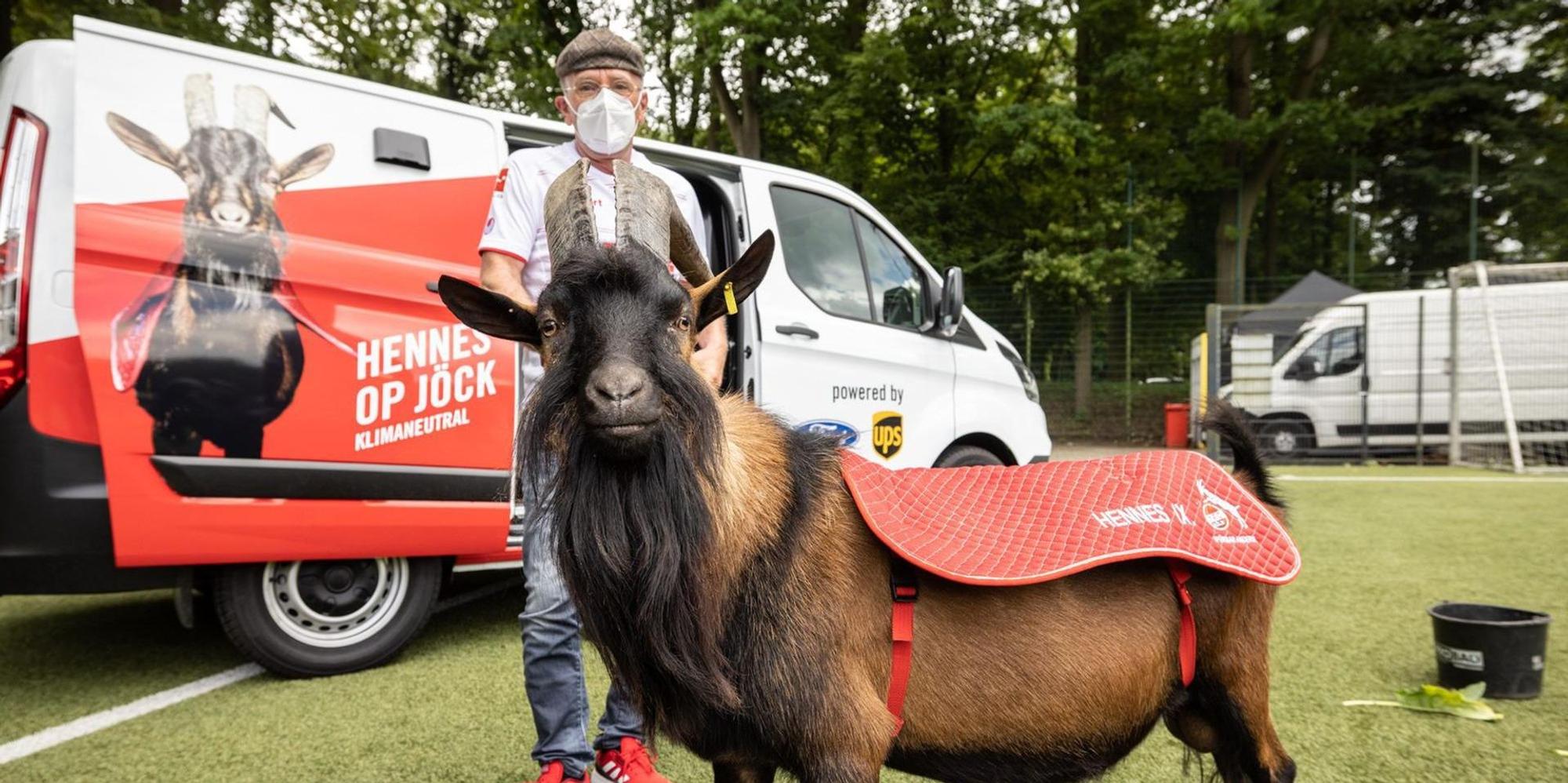 Neuer Inhalt