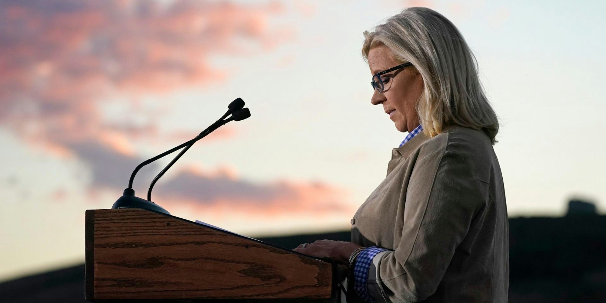 Liz Cheney 170822