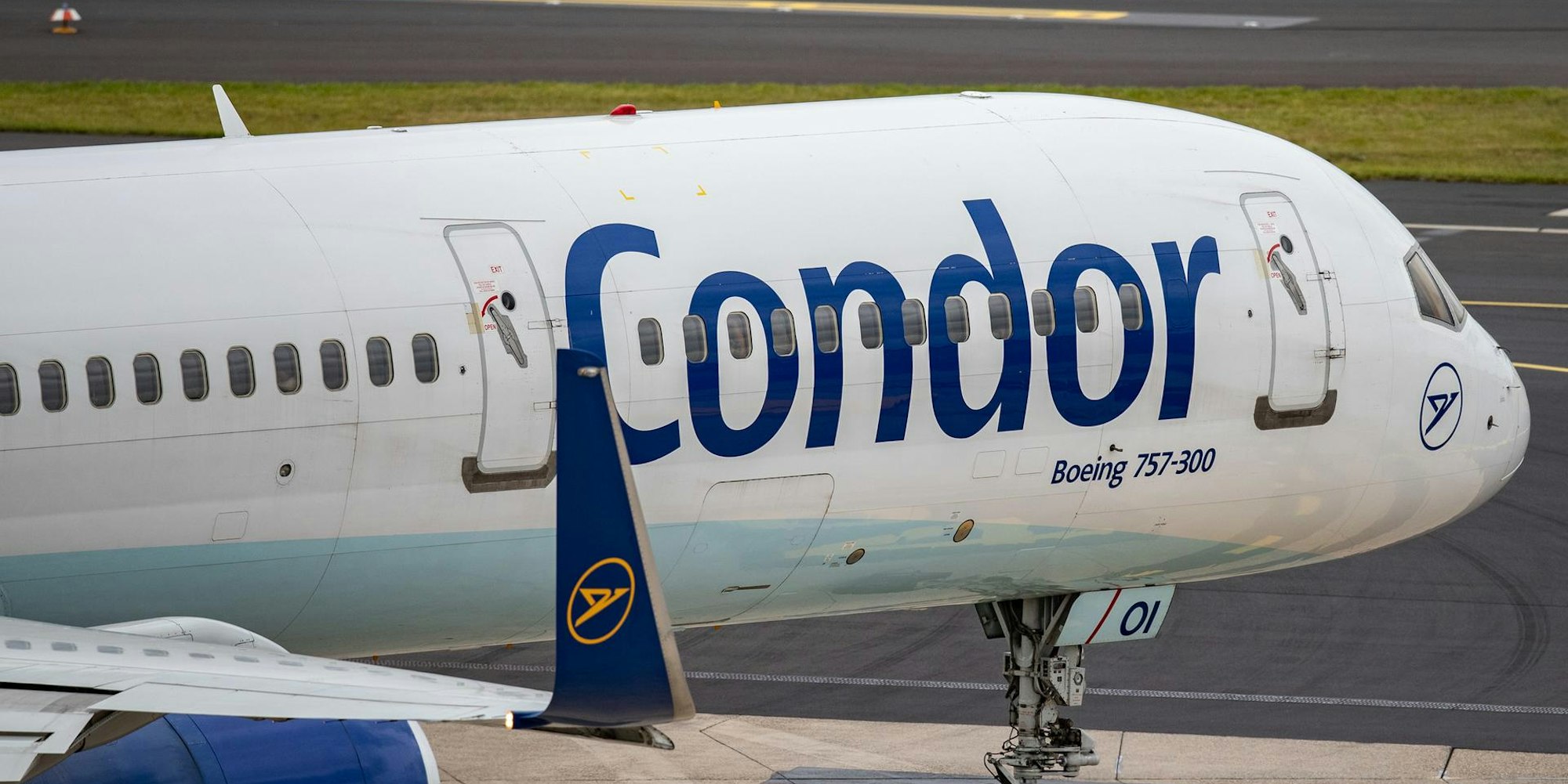 Condor