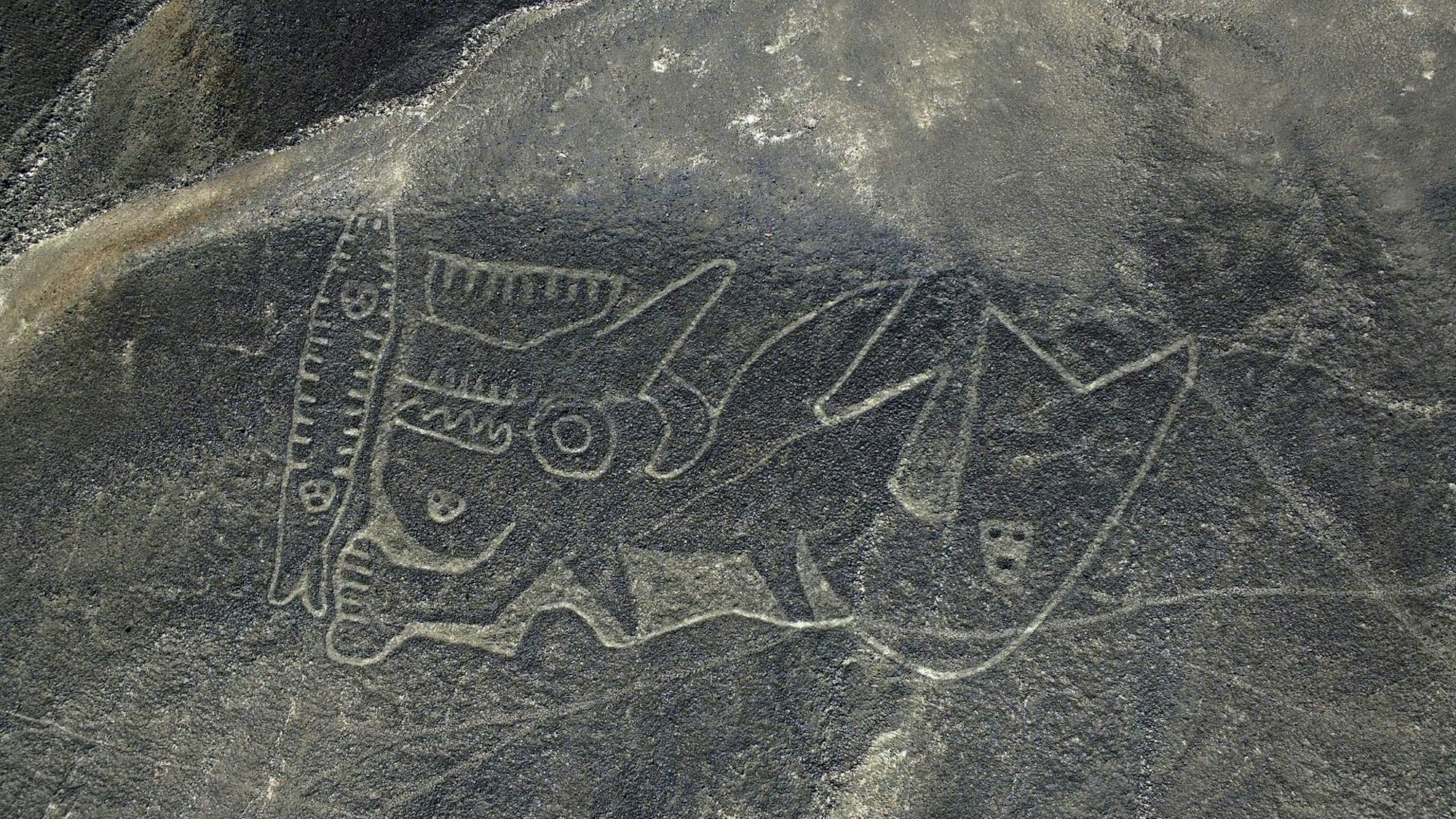 Palpa-Linien